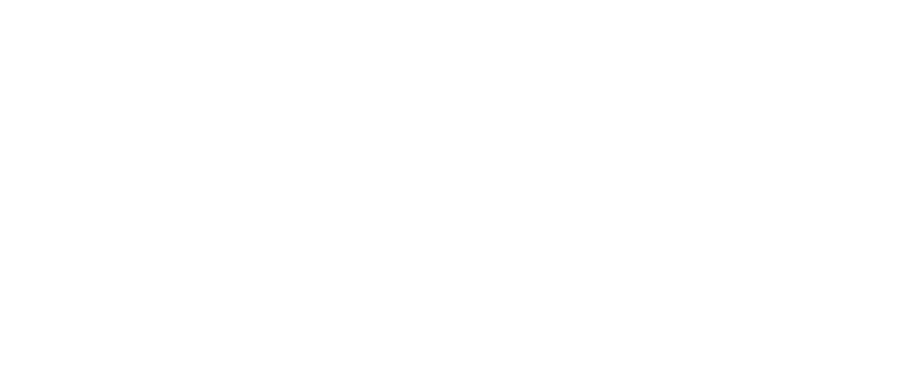 Moss Snowstick | Snowsurfing Since 1971 |