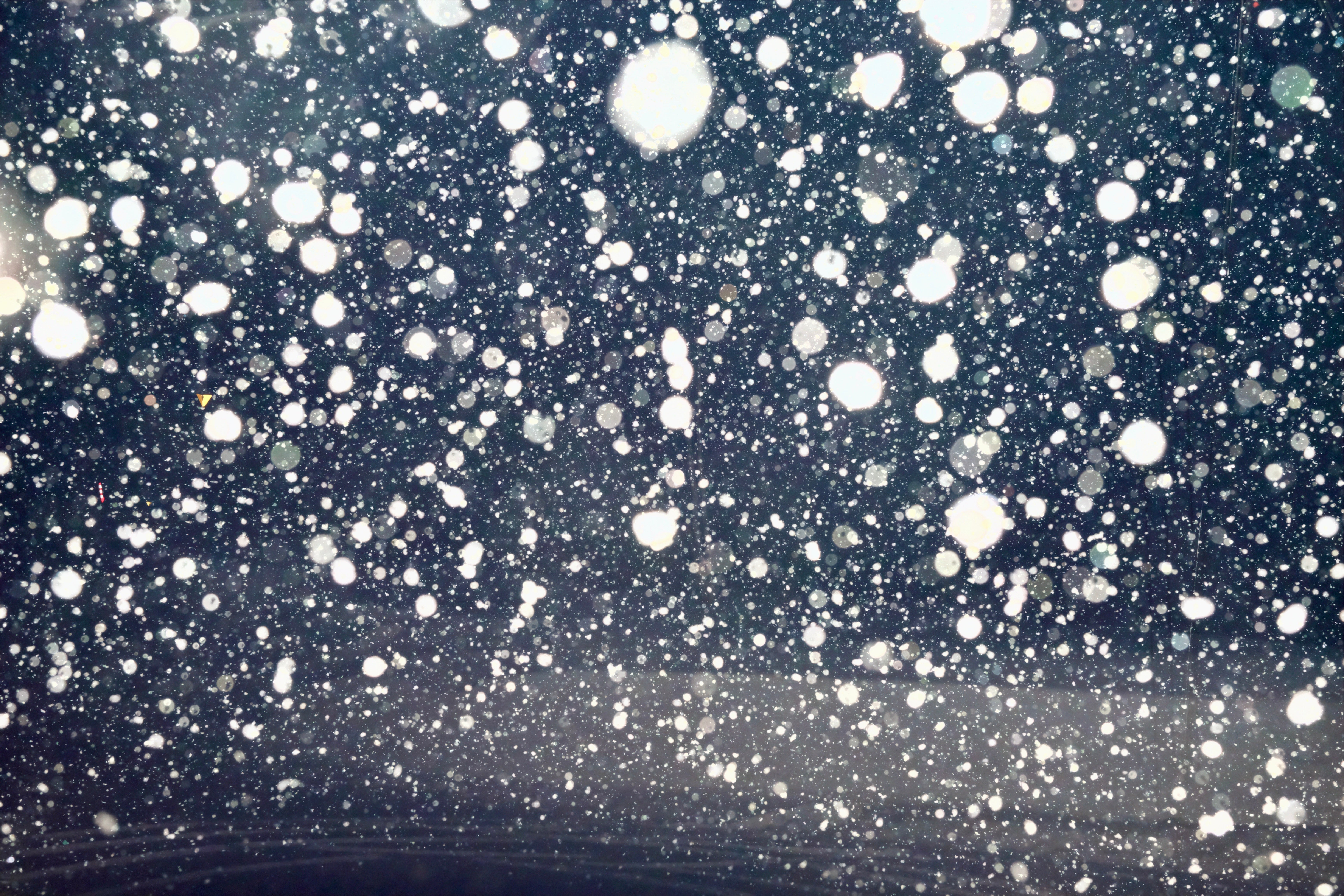Moss Snowstick | Snowsurfing Since 1971 |